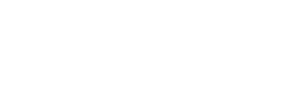 Ruggie Wealth Management